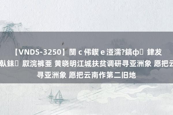 【VNDS-3250】闅ｃ伄鍥ｅ湴濡?鎬ф銉犮儵銉犮儵 娣倝銇叞浣裤亜 黄晓明江城扶贫调研寻亚洲象 愿把云南作第二旧地