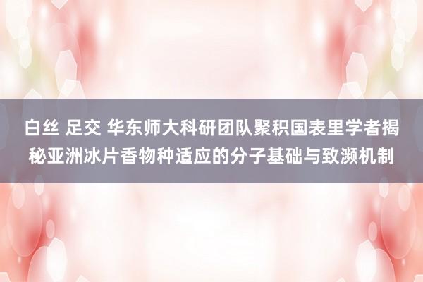 白丝 足交 华东师大科研团队聚积国表里学者揭秘亚洲冰片香物种适应的分子基础与致濒机制