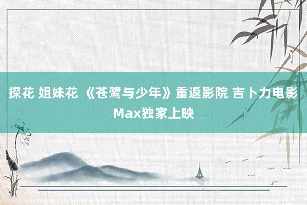 探花 姐妹花 《苍鹭与少年》重返影院 吉卜力电影Max独家上映