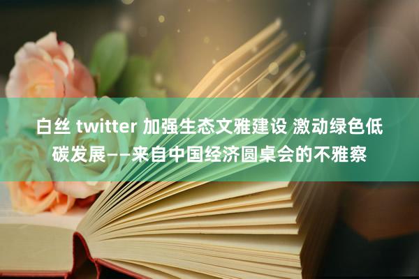 白丝 twitter 加强生态文雅建设 激动绿色低碳发展——来自中国经济圆桌会的不雅察