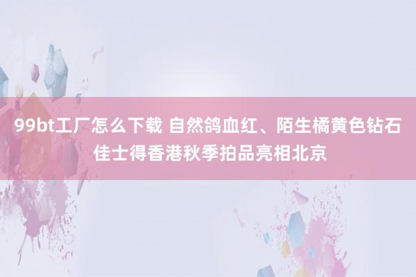 99bt工厂怎么下载 自然鸽血红、陌生橘黄色钻石 佳士得香港秋季拍品亮相北京