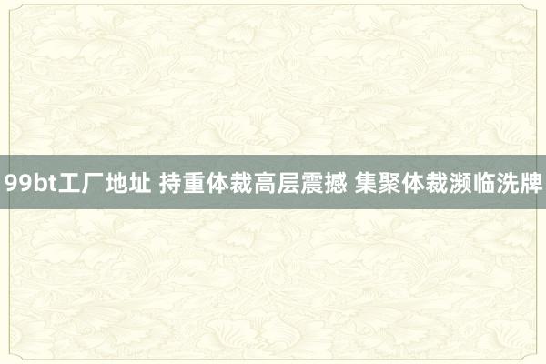 99bt工厂地址 持重体裁高层震撼 集聚体裁濒临洗牌