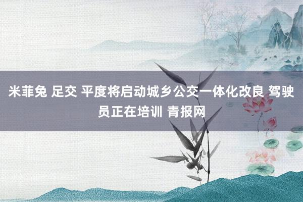 米菲兔 足交 平度将启动城乡公交一体化改良 驾驶员正在培训 青报网