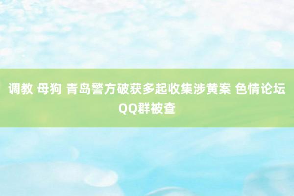 调教 母狗 青岛警方破获多起收集涉黄案 色情论坛QQ群被查