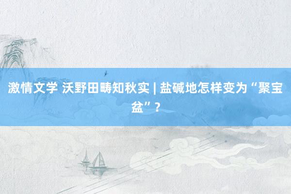 激情文学 沃野田畴知秋实 | 盐碱地怎样变为“聚宝盆”？