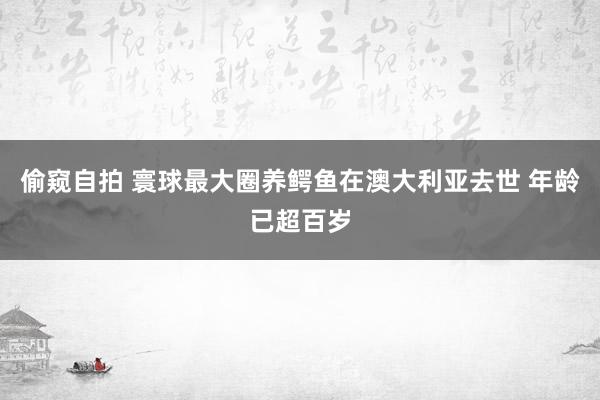 偷窥自拍 寰球最大圈养鳄鱼在澳大利亚去世 年龄已超百岁