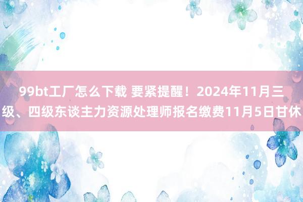 99bt工厂怎么下载 要紧提醒！2024年11月三级、四级东谈主力资源处理师报名缴费11月5日甘休