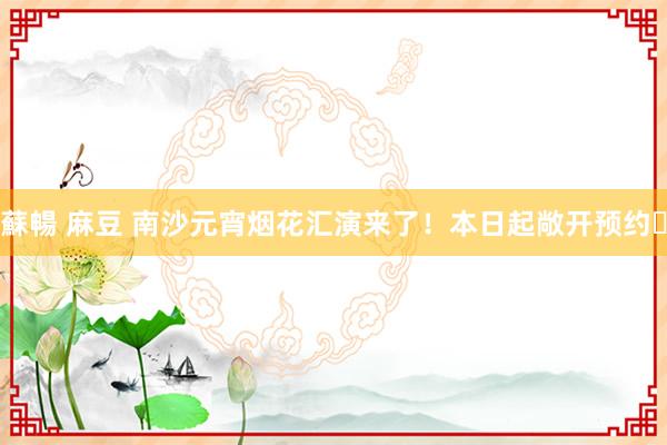 蘇暢 麻豆 南沙元宵烟花汇演来了！本日起敞开预约​