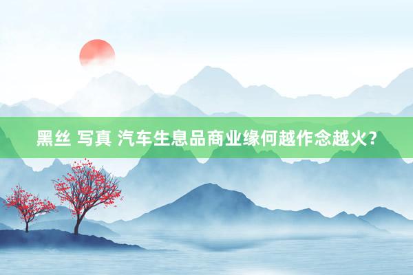 黑丝 写真 汽车生息品商业缘何越作念越火？