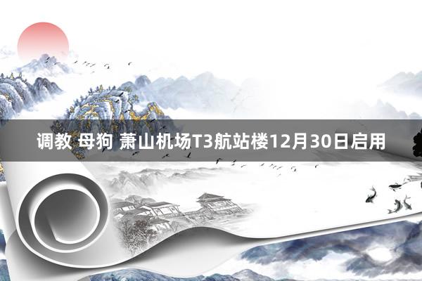 调教 母狗 萧山机场T3航站楼12月30日启用